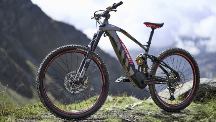 la prima mountain bike della storia audi è ispirata alla rs q e-tron. prestazioni e listino
