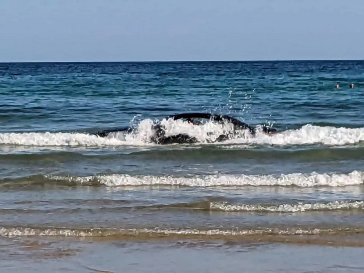 bmw serie 4 decappottabile finisce in mare: il suo proprietario aveva parcheggiato in spiaggia 