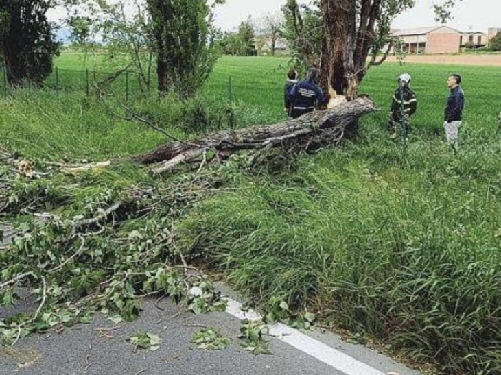 l’incredibile fatalità, muore motociclista 53enne colpito da un albero