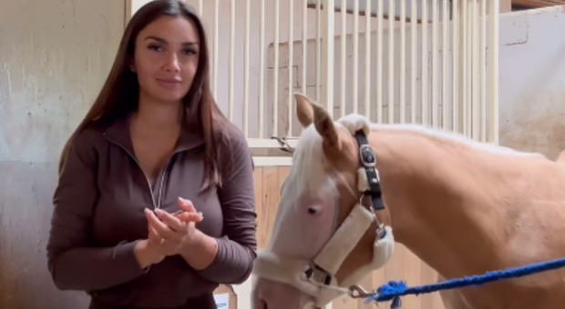 elettra lamborghini, ansia per il nuovo cavallo ermes: «ecco perché penso che sia sordo»