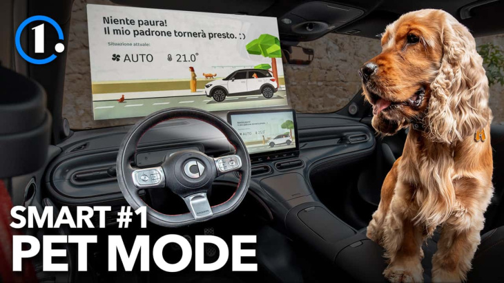 cani in auto, il pet mode è funzione che i padroni adoreranno
